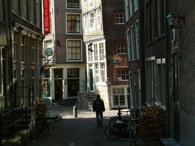 Amsterdam Old City Private Walking Tour - Real Feedback from Past Participants