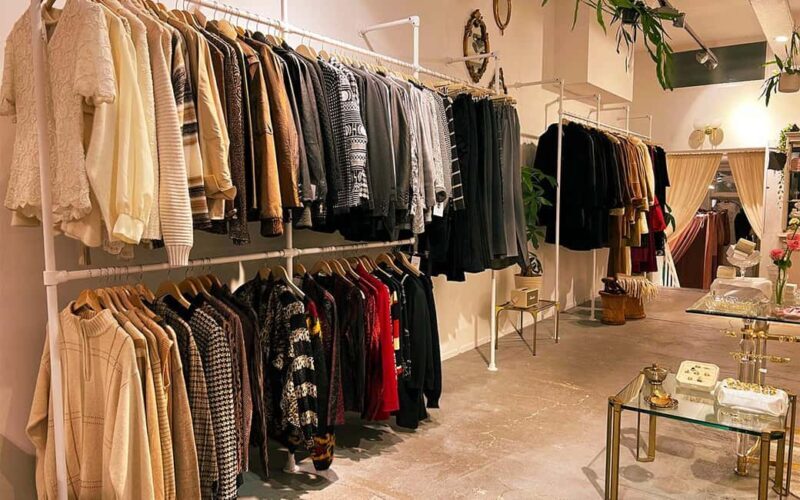 Amsterdam Pre-Loved Clothes Shopping Tour, private guide - Who Should Consider This Tour?