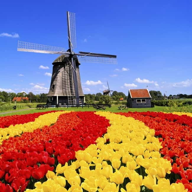 Amsterdam: Private Keukenhof and Free Tulip Tour - The Experience from a Traveler’s Perspective
