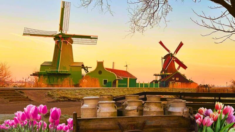 Amsterdam : Private Tour Zaanse Schans - An In-Depth Look at the Tour Experience