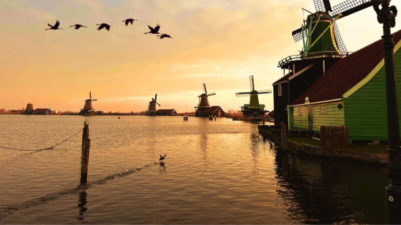 Amsterdam : Private Tour Zaanse Schans - Authentic Traveler Insights