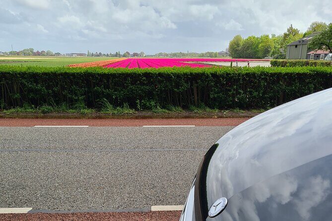 Amsterdam Private Transfer to Keukenhof Gardens - How the Experience Usually Unfolds