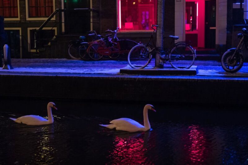 Amsterdam: Red Light District and Coffeeshop Culture Tour - What to Expect on the Tour