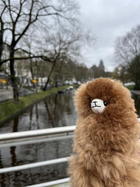 Amsterdam: Rijksmuseum Private Guided Tour & Entry Tickets - What You Can Expect During the Tour