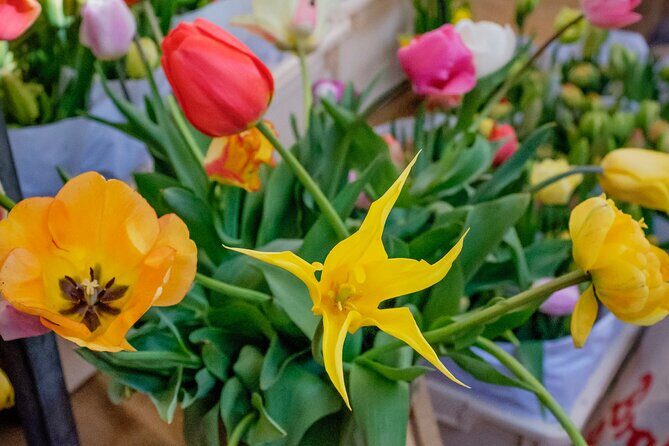 Amsterdam Sightseeing Tour + Hidden Gems + Tastings + PDF guide - FAQs