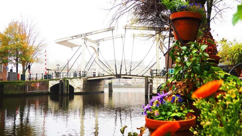 Amsterdam: Small-Group Hidden Gems Tour - What Makes This Tour Special?