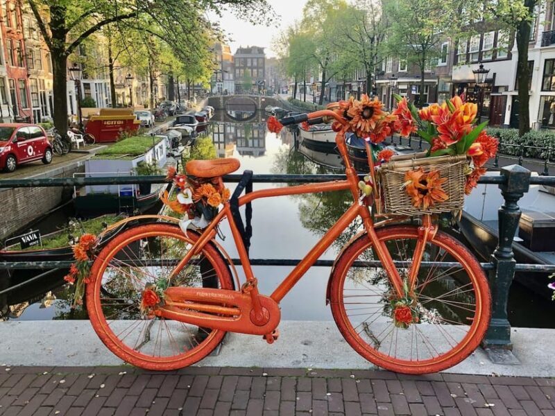 Amsterdam: Small Group Walking Tour with Fun Guide - A Deep Dive into the Experience