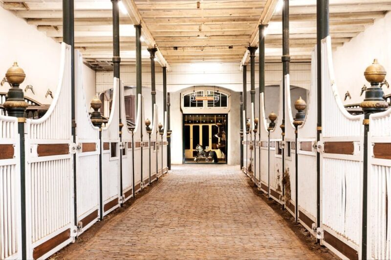 Amsterdam: The 'Hollandsche Manege' Stables Entry Ticket - What to Expect at the Hollandsche Manege