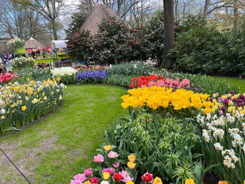 Amsterdam to Keukenhof & Zaanseschans: Private Tour - Final Thoughts