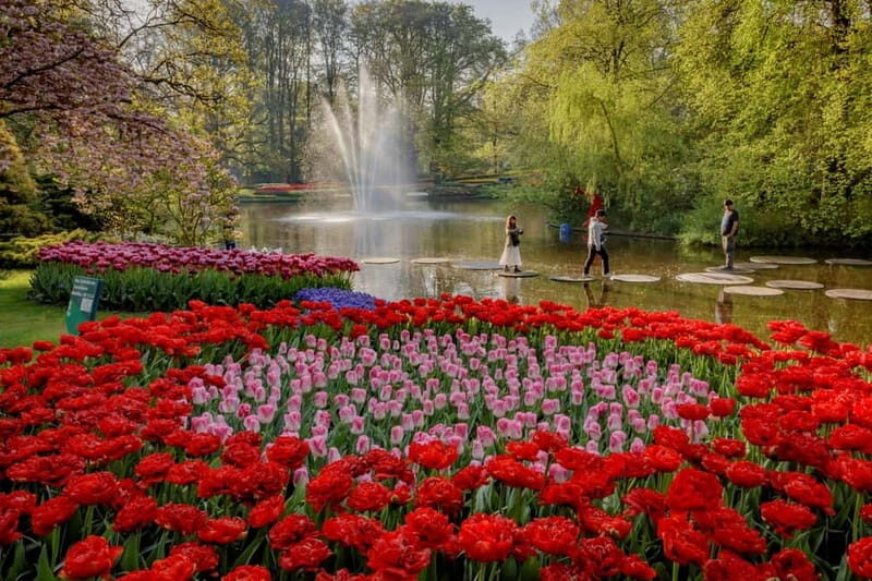 Amsterdam: Tulip Farm Visit, Keukenhof, and Windmill Cruise - Price & Overall Value