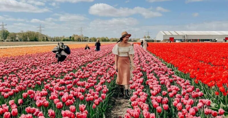 Amsterdam: Tulip Farm Visit, Keukenhof, and Windmill Cruise - Frequently Asked Questions