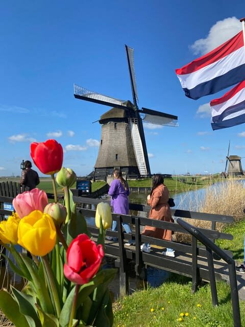 Amsterdam: Tulip Fields Day Tour with Lunch & Windmill - Key Points