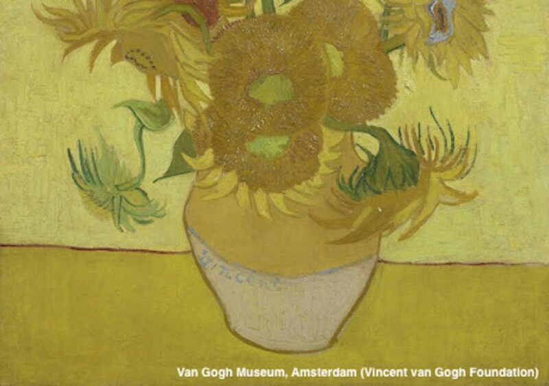 Amsterdam: Van Gogh Museum Guided Tour with Entry - Key Points