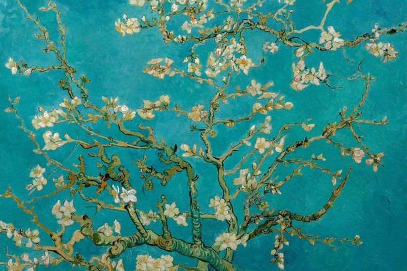 Amsterdam: Van Gogh Museum Ticket & Canal Cruise - The Canal Cruise Route: 17th-Century Charm From the Water