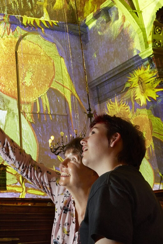 Amsterdam: Van Gogh & Rembrandt Captivating Experience Entry - Who Is This Tour Best For?