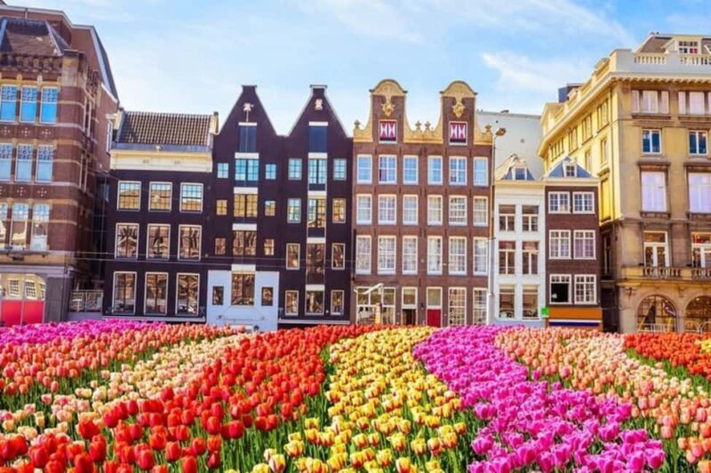 Amsterdam: Walking Tour of Historic Center - The Value of This Tour