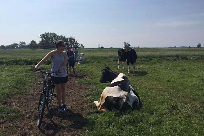 Amsterdam's Countryside Half-Day Bike Tour in Small Group - Authentic Traveler Opinions