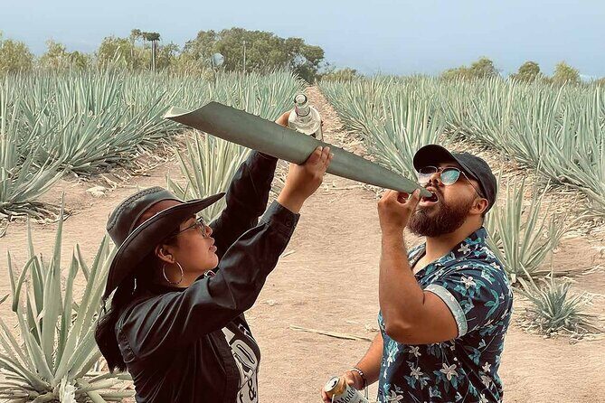 An adventure for the senses: Mezcal, fields and crafts. - What to Expect from the Tour