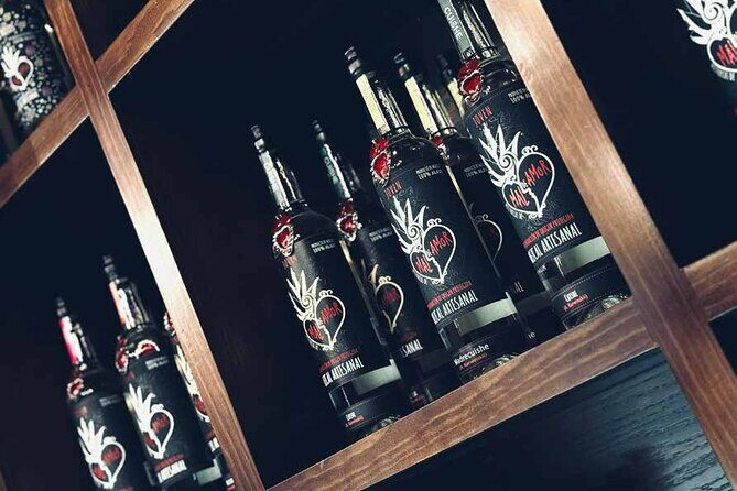 An adventure for the senses: Mezcal, fields and crafts. - The Quality and Value of the Experience