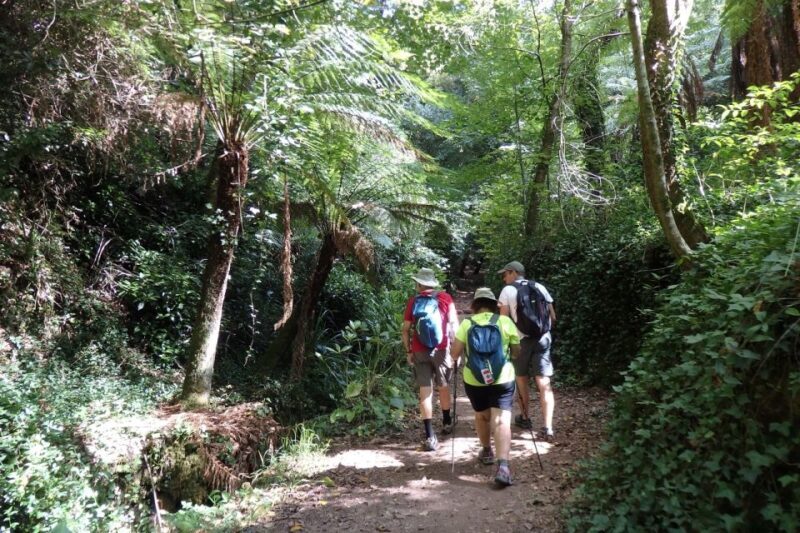 An adventure through the Forest and Palace of Bussaco - Coim - The Experience and Duration