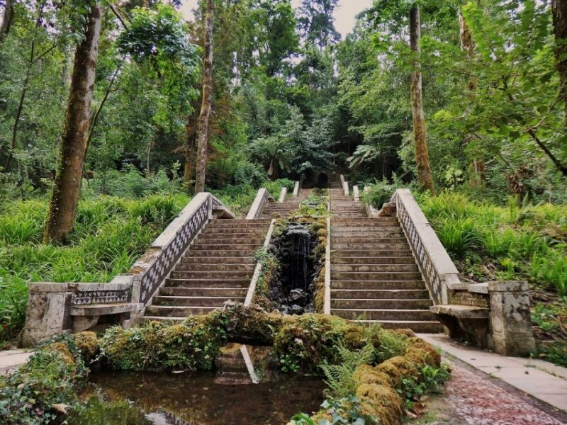 An adventure through the Forest and Palace of Bussaco - Coim - What Budget-Conscious Travelers Should Know