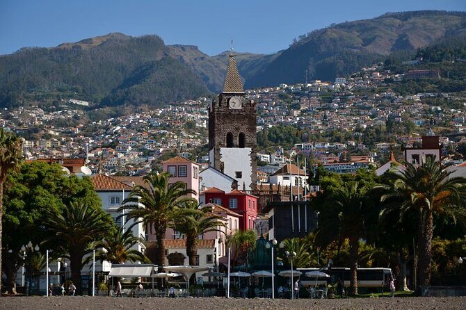 An Express tuk-tuk tour through Funchal Old Town - Who Would Love This Tour?
