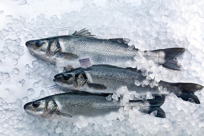 An Unforgettable Day With Fish, Wine and Olive Oil Tasting - What’s Included and How It’s Organized