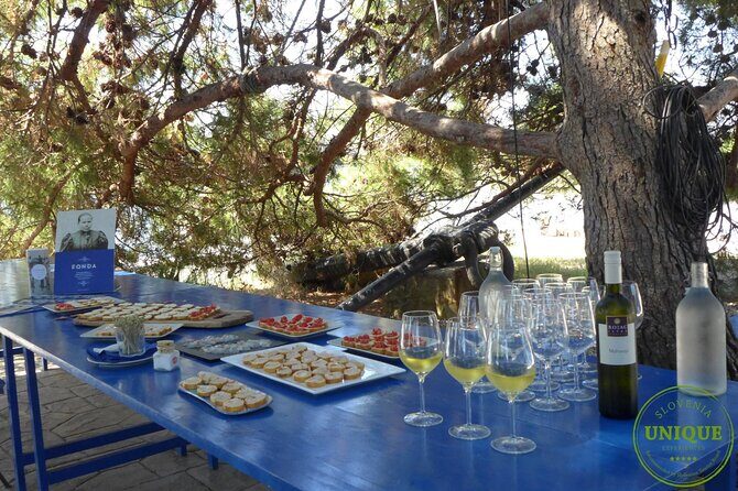 An Unforgettable Day With Fish, Wine and Olive Oil Tasting - Practical Details: What to Expect and Consider