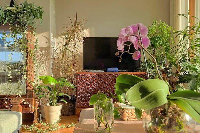 An Unforgettable Evening: Authentic Portuguese Dinner in Porto - FAQ