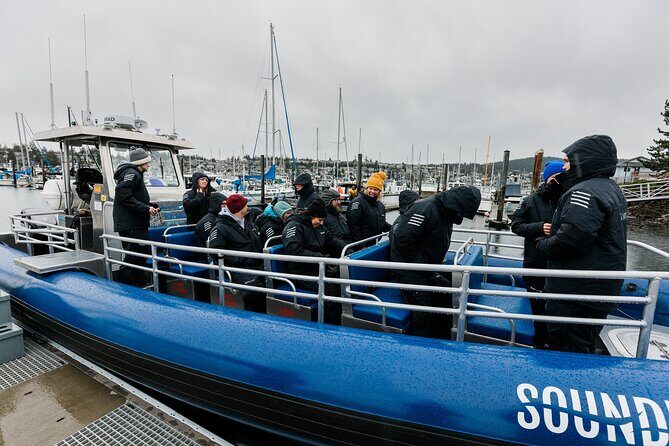 Anacortes Whale Watching Adventure Tour - Zodiac Boat - The Experience: Pros and Cons