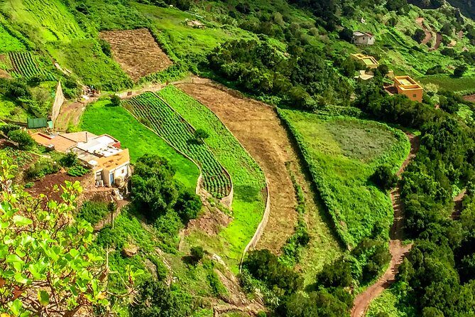 Anaga Private Tour: Valleys of Nature and Tradition - Final Thoughts