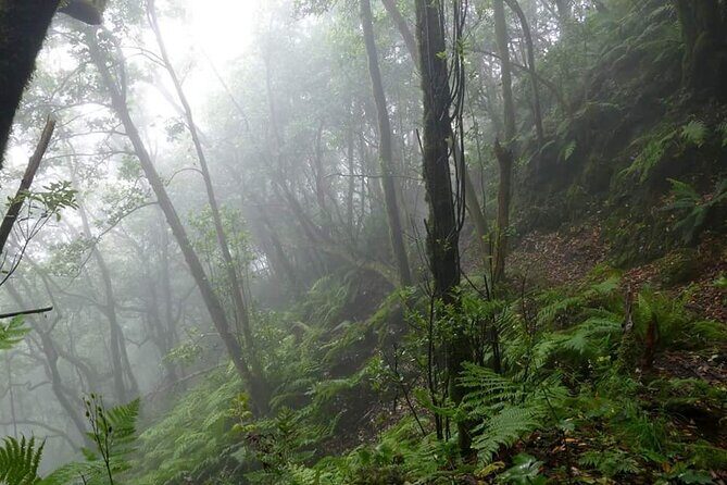 Anaga Total: Adventure between Forests, Summits and Sea. - Key Points