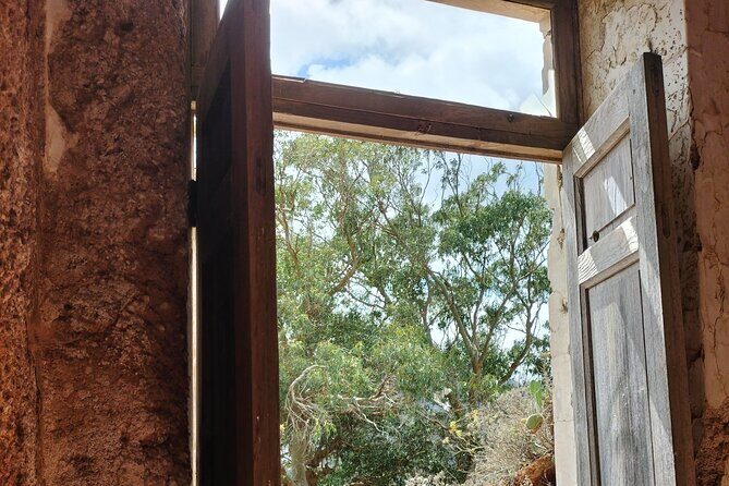 Anaga Total: Adventure between Forests, Summits and Sea. - The Itinerary: What to Expect