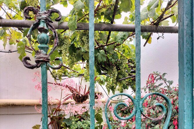 Anaga Total: Adventure between Forests, Summits and Sea. - Final Thoughts