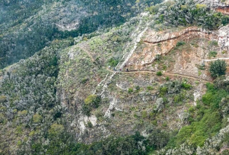 Anaga: Trail from the Forest to the Beach and return by boat. - Who Will This Tour Suit Best?