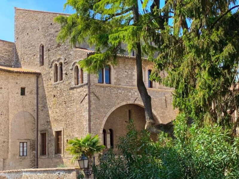 Anagni: Entrance ticket to the Boniface VIII Palace - Accessibility and Practical Info
