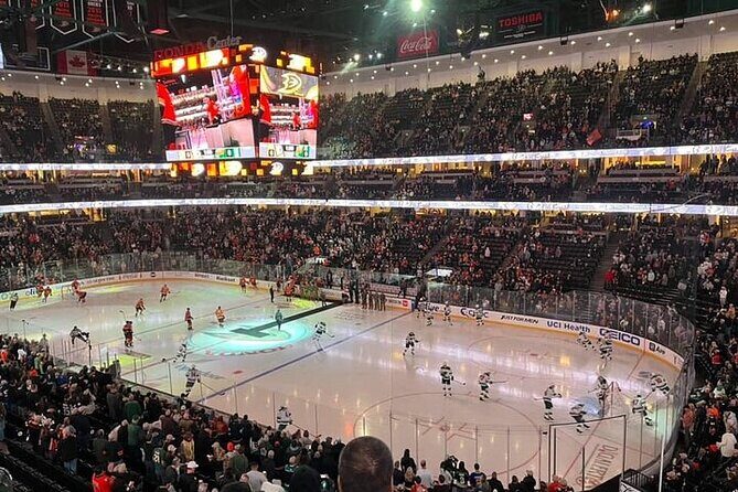 Anaheim Ducks Ice Hockey Game at Honda Center - The Sum Up