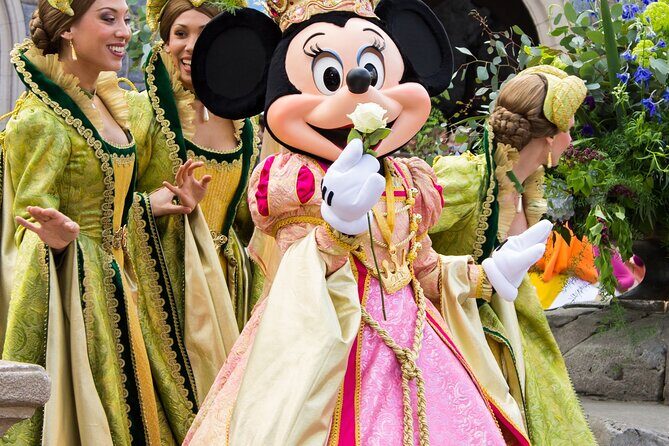 Anaheim Resort Private Transfer to or from Hollywood - Who Should Consider This Service?