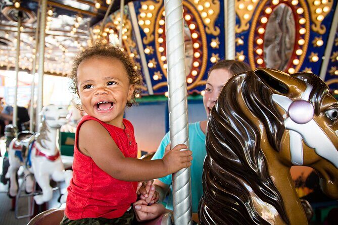 Anaheim Resort Private Transfer to or from John Wayne Airport. - Who should consider this transfer?