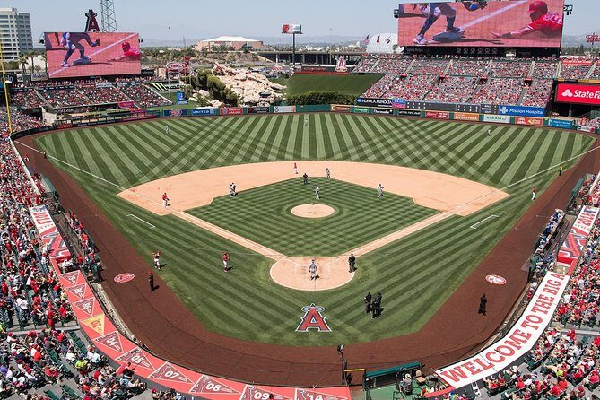 Anaheim Resort Private Transfer to or from John Wayne Airport. - How do reviews reflect actual experiences?