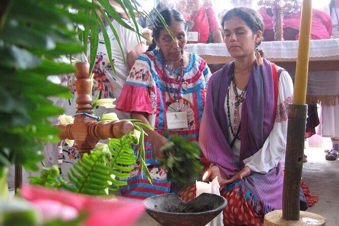 Ancestral and Traditional Knowledge Workshop - What You Can Expect From the Workshop