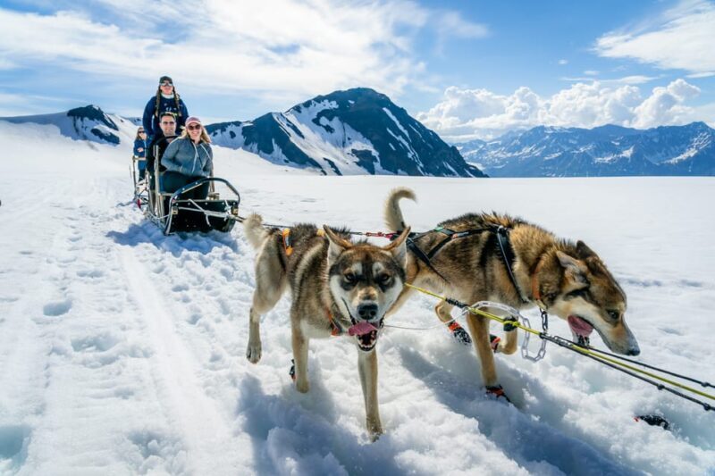 Anchorage Area: Helicopter and Glacier Dogsled Tour - An In-Depth Look at This Unique Alaska Tour