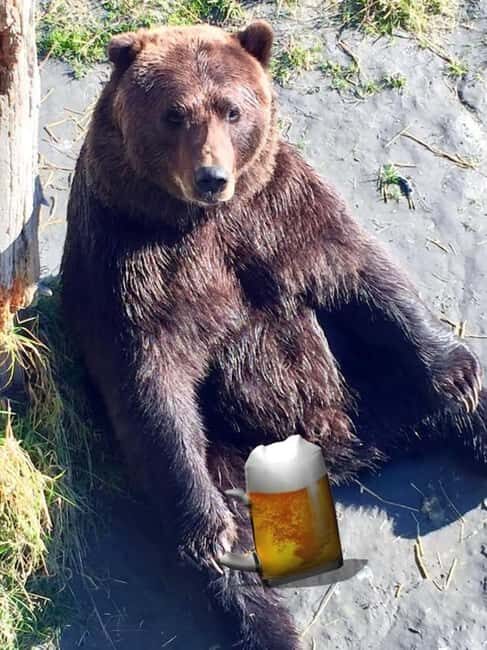Anchorage: Bears, Beers, and Glacier Tour - Authentic Reviews & What They Say