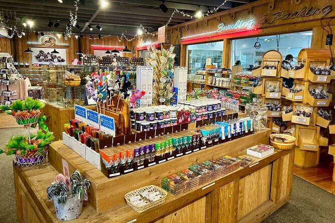 Anchorage City Tour, w/Choc Factory Samplings - What Travelers Love About This Tour