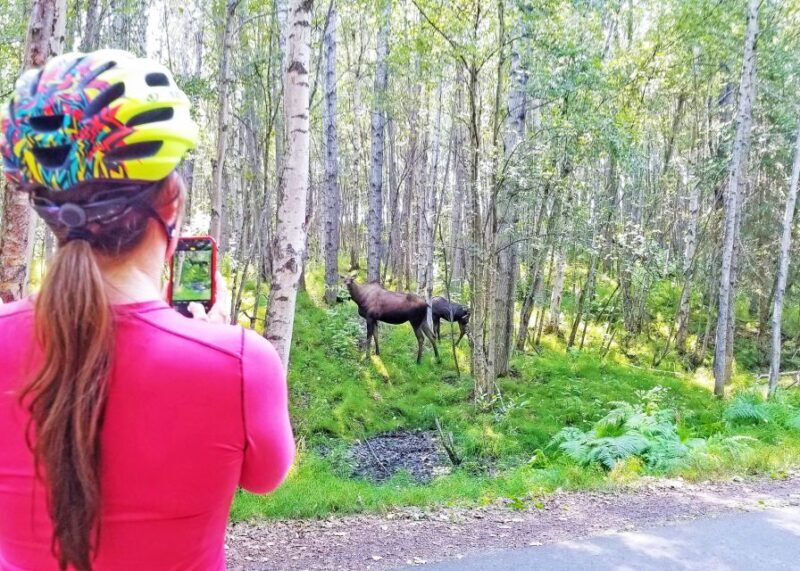 Anchorage: Coastal Trail 3-Hour City Bike Tour - Who Is This Tour Best For?