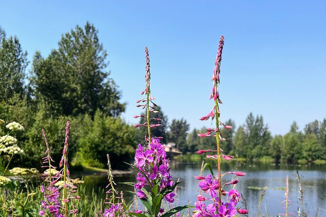 Anchorage Greenbelt Bike Tour - Final Thoughts: Is This Tour Right for You?