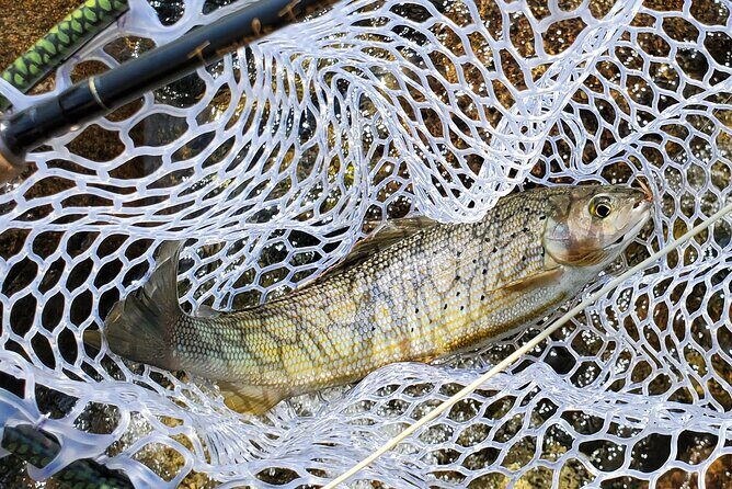 Anchorage Guided Fly-fishing - FAQs