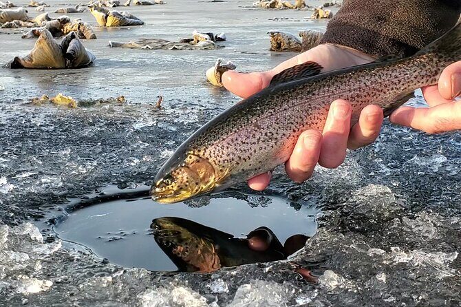 Anchorage Ice Fishing Adventure - An Overview of the Experience