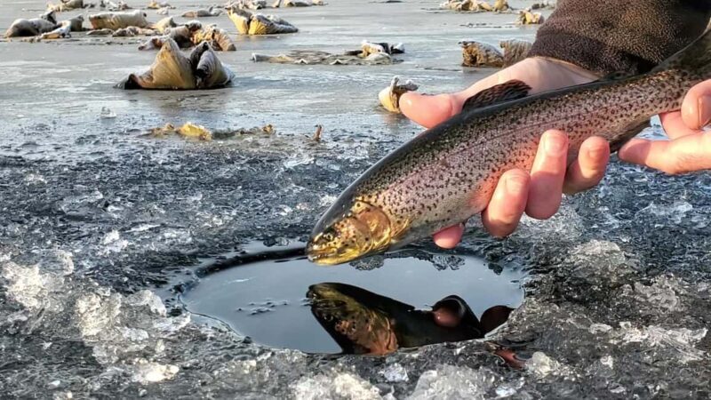 Anchorage: Ice Fishing Trip With Transportation - Final Thoughts: Who Should Consider This?