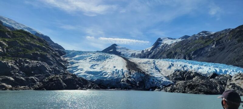 Anchorage: Portage Glacier and Wildlife Explorer Cruise - What to Expect from the Tour